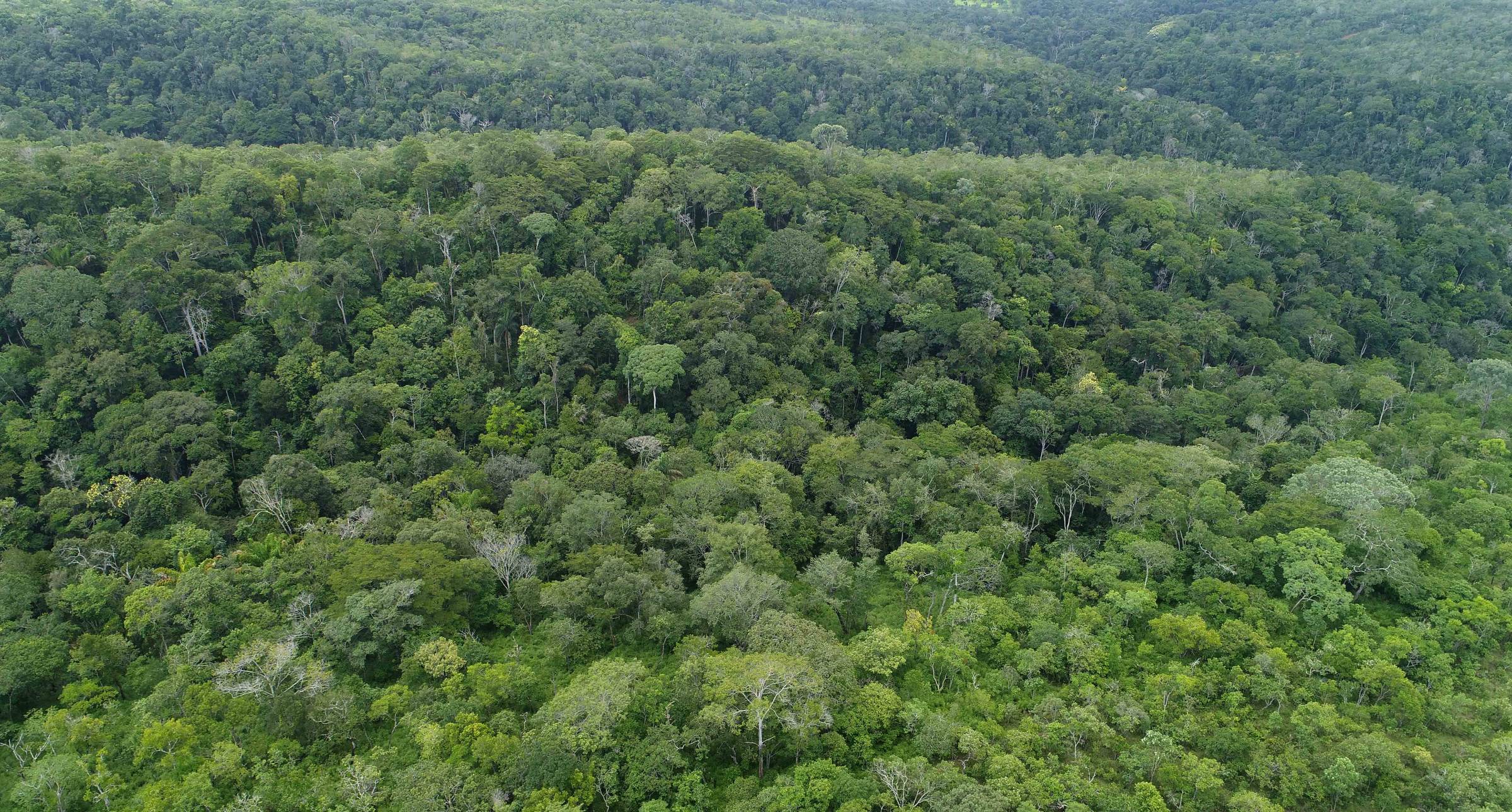 Serra do Lajeado, no Parque Estadual do Lajeado, em Palmas (TO) - Fernando Alves/Governo do Tocantins