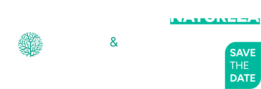 Banner Fundiário
